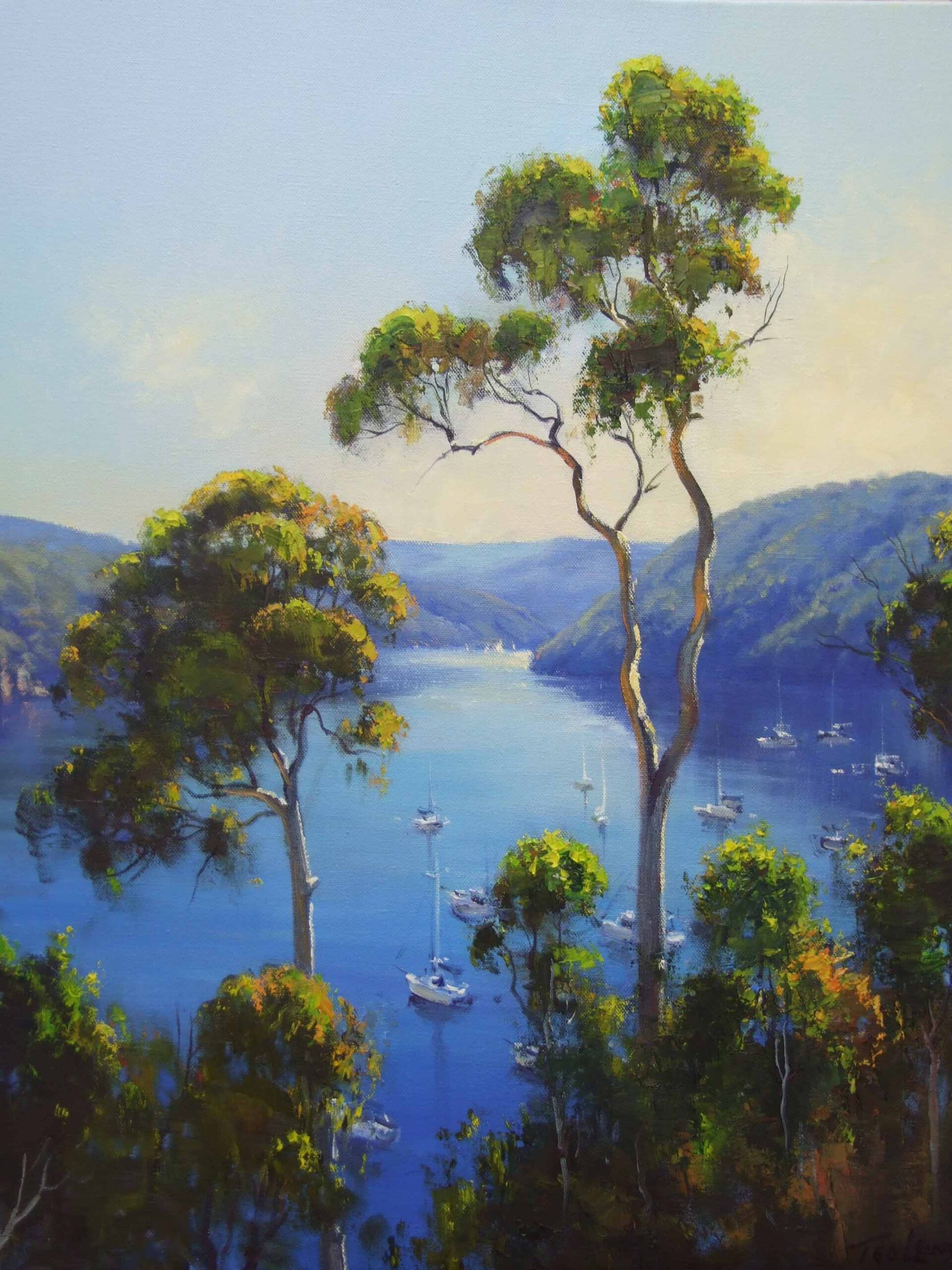 Peaceful Pittwater